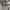 Polham Casual Hoody Pria gray photo 2