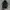 Carhartt Streetwear Jumper Pria black photo 2