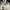 Nike Air Jordan Y2K Sportswear Sneakers Pria white blue photo 1