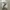 Nike Air Jordan Y2K Sportswear Sneakers Pria white blue photo 4