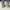 Nike Air Jordan Y2K Sportswear Sneakers Pria white blue photo 3
