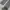 Lafuma Gorpcore Sportswear Socks & tight Wanita gray photo 2