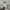 Nike Streetwear Sweater Pria silver photo 4