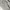 Luxury Lolita Going out dress Wanita white photo 3