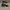 VANS Streetwear Skater Sneakers Pria black photo 1