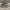 VANS Streetwear Skater Sneakers Pria gray photo 1