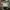 Asics Streetwear Sportswear Sneakers Pria tan photo 3