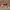 VANS Streetwear Skater Sneakers Pria multicolor photo 2