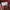 Converse Streetwear Casual Puffer jacket Pria multicolor photo 4