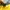 ECKO UNLTD Y2K Jersey Pria yellow photo 4