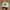 Vintage Y2K Hat Pria white photo 1