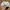 Vintage Y2K Hat Pria white photo 2