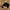 Nike Vintage Streetwear Hat Pria black photo 2