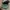 Nike Vintage Streetwear Hat Pria black photo 5