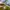 Universal Studios Vintage Hat Pria khaki photo 3