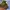 Universal Studios Vintage Hat Pria khaki photo 2