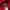 Sportswear Jersey Pria red photo 4