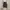Adidas Casual Sneakers Pria gray photo 6