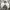 Japanese Brand Vintage Casual Harrington Jacket Pria Cream