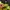 Nike Casual Hoody Pria black yellow photo 2