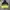 Nike Casual Hoody Pria black yellow photo 1