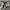 Nike Streetwear Sportswear Sneakers Pria white black photo 4