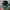 NEPA Vintage Hat Pria green photo 7