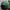 NEPA Vintage Hat Pria green photo 6