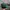 NEPA Vintage Hat Pria green photo 3