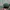 NEPA Vintage Hat Pria green photo 5