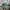 NEPA Vintage Hat Pria Green