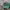 NEPA Vintage Hat Pria green photo 2