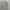 Luxury Futurist Formal shirt Pria tan cream photo 3
