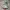 Nike Air Jordan Casual Sneakers Pria green photo 1