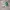 Nike Air Jordan Casual Sneakers Pria green photo 2