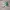 Nike Air Jordan Casual Sneakers Pria Green