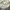 Frank Stone Biker Minimalist Harrington jacket Pria cream photo 5