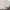 Frank Stone Biker Minimalist Harrington jacket Pria cream photo 3