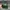 Stussy Vintage Streetwear Hat Pria green photo 1