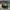 Stussy Vintage Streetwear Hat Pria Green