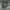 Stussy Vintage Streetwear Hat Pria green photo 2
