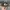 Stussy Vintage Streetwear Hat Pria green photo 4