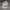 Stussy Vintage Streetwear Hat Pria khaki photo 5