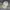 Stussy Vintage Streetwear Hat Pria khaki photo 2
