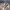Stussy Vintage Streetwear Hat Pria khaki photo 4