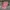 Stussy Vintage Streetwear Hat Pria pink photo 2