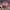 Stussy Vintage Streetwear Hat Pria pink photo 1