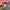 Stussy Vintage Streetwear Hat Pria pink photo 3
