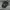 Stussy Vintage Streetwear Hat Pria black photo 2