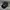 Stussy Vintage Streetwear Hat Pria black photo 2